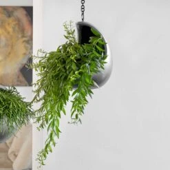 Gradient Hanging Cocoon - Matt Grey -Garden Potted Plant Shop Gradient Hanging Matt Grey 2