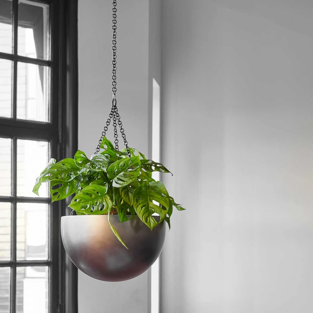 Gradient Hanging Plant Bowl - Matt Coffee 2 Gradient Hanging Plant Bowl - Matt Coffee - Image 2