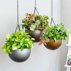 Gradient Hanging Plant Bowl - Matt Coffee 8 Gradient Hanging Plant Bowl - Matt Coffee -Garden Potted Plant Shop Gradient Hanging Plant Bowl db68eaf3 31c5 4680 a11f c21401681759