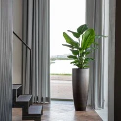 Gradient Partner Planter - Matt Grey -Garden Potted Plant Shop Gradient Partner Planter Matt Grey 4