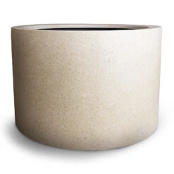 Grigio Cylinder Planter - Antique White Concrete -Garden Potted Plant Shop Grigio Cylinder Planter Antique White Concrete 08a9cf77 9256 45e9 ad31 bae730a64d75