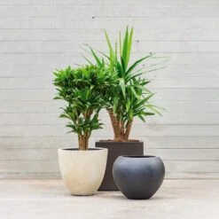 Grigio Egg Pot Planter - Antique White Concrete -Garden Potted Plant Shop Grigio Planters LS1