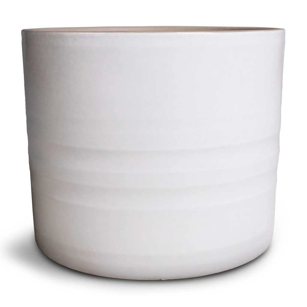 Hadleigh Plant Pot - White 6 Hadleigh Plant Pot - White - Image 6