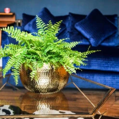 Hammered Bowl - Gold With Black -Garden Potted Plant Shop Hammered Bowl Gold Lifestyle 3