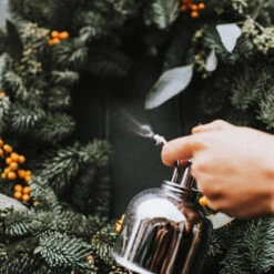 Haws Smethwick Spritzer In Nickel 7 Haws Smethwick Spritzer In Nickel -Garden Potted Plant Shop Haws Smethwick Spritzer in Nickel 2