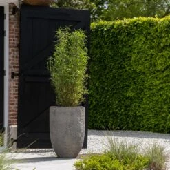 Hayes Mountain Planter - Granite Grey 9 Hayes Mountain Planter - Granite Grey -Garden Potted Plant Shop Hayes Mountain Planter Granite Grey Lifestyle 2