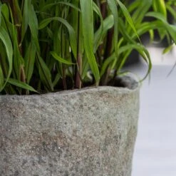 Hunter Mountain Planter - Granite Grey -Garden Potted Plant Shop Hunter Mountain Planter Granite Grey Lifestyle 1
