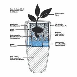 Dracaena Lemon Lime - Branched - HydroCare -Garden Potted Plant Shop Hydroculture Planter Diagram f9a3b4a9 6d5b 44d4 8a74 719b9fa5f9f7