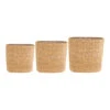 Isaac Plant Baskets - Set Of 3 - Oval - Natural