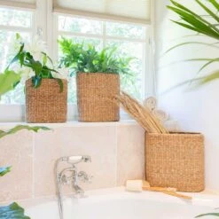 Isaac Plant Baskets - Set Of 3 - Oval - Natural -Garden Potted Plant Shop Isaac Plant Baskets Set of 3 Round Natural Houseplants