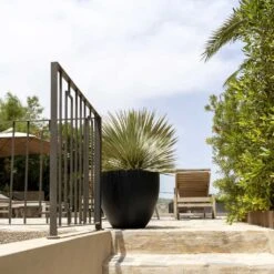 Jesslyn Natural Planter - Black -Garden Potted Plant Shop Jesslyn Natural Planter Black 1