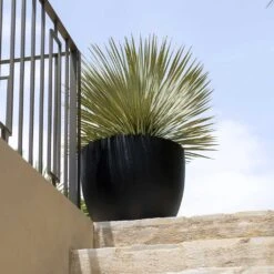 Jesslyn Natural Planter - Black -Garden Potted Plant Shop Jesslyn Natural Planter Black 2