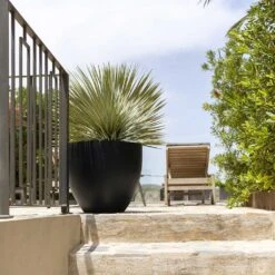 Jesslyn Natural Planter - Black -Garden Potted Plant Shop Jesslyn Natural Planter Black Large Patio Planter da61951c e7e8 4898 be23 5e29fba17043