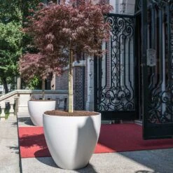 Jesslyn Refined Planter - Natural White -Garden Potted Plant Shop Jesslyn Refined Planter Natural White Entrance Planter