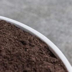 Jesslyn Refined Planter - Natural White -Garden Potted Plant Shop Jesslyn Refined Planter Natural White Rim