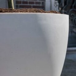 Jesslyn Refined Planter - Natural White -Garden Potted Plant Shop Jesslyn Refined Planter Natural White Sandstone Texture