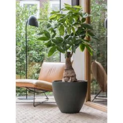 Jesslyn Refined Planter - Pine Green -Garden Potted Plant Shop Jesslyn Refined Planter Pine Green Office Planters