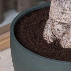 Jesslyn Refined Planter - Pine Green -Garden Potted Plant Shop Jesslyn Refined Planter Pine Green Rim