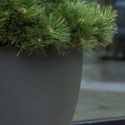 Jesslyn Refined Planter - Pine Green -Garden Potted Plant Shop Jesslyn Refined Planter Pine Green Textures