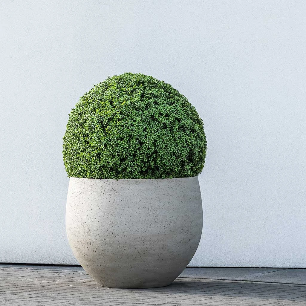 Jumbo Orb Planter - Stone Washed 10 Jumbo Orb Planter - Stone Washed - Image 10