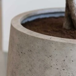 Jumbo Patt Planter - Stone Washed -Garden Potted Plant Shop Jumbo Patt Planter Stone Washed Close Up