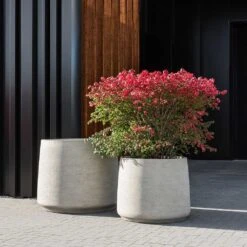 Jumbo Patt Planter - Stone Washed -Garden Potted Plant Shop Jumbo Patt Planter Stone Washed Garden Plants