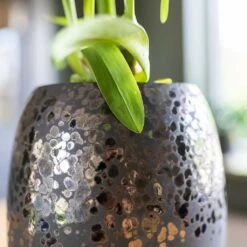 Kae Plant Vase - Mocha -Garden Potted Plant Shop Kae Plant Vase Mocha Close Up