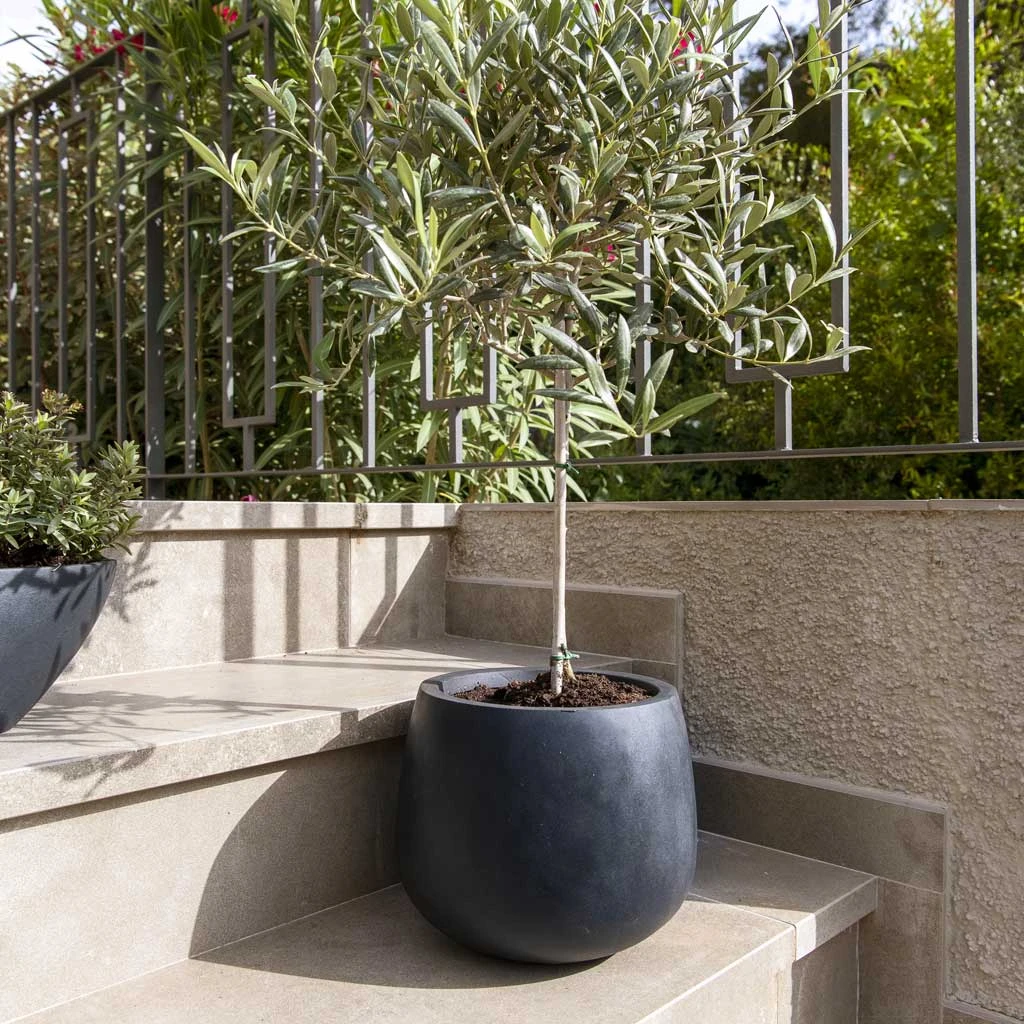 Kevan Natural Planter - Black 2 Kevan Natural Planter - Black - Image 2