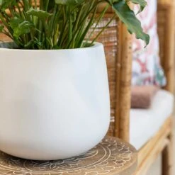 Kevan Essentials Plant Pot - Matt White -Garden Potted Plant Shop Kevan Plant Pot Matt White Philodendron Plant