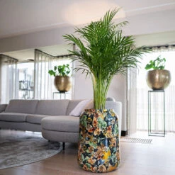 Lammie Planter - Berry Blue 14 Lammie Planter - Berry Blue -Garden Potted Plant Shop Lammie Planter Berry Blue 5