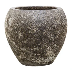 Lava Balloon Relic Planter - Black -Garden Potted Plant Shop Lava Balloon Relic Planter Black 54x50cm