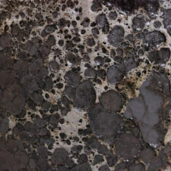 Lava Couple Relic Planter - Black 18 Lava Couple Relic Planter - Black -Garden Potted Plant Shop Lava Couple Straight Relic Planter Black 2 ef70eca9 fc8d 4d14 8474 56094f355677