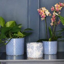 Garden Potted Plant Shop -Garden Potted Plant Shop Lazzaro Plant Pot Navy Garland 15 x 13cm