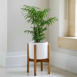 Anzio Plant Pot With Wooden Stand - Stone White -Garden Potted Plant Shop Lifestyle Anzio Plant Pot with Wooden Stand Stone White 24x24cm