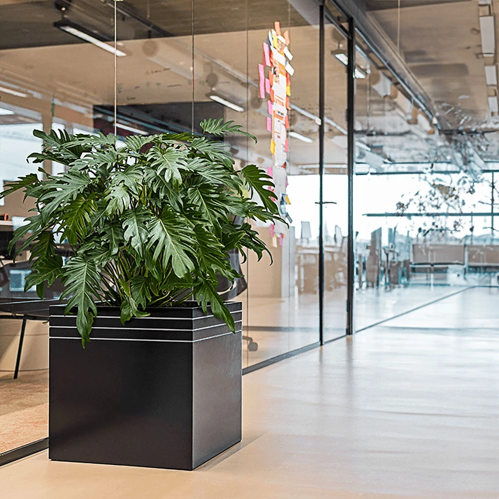 Line-Up Cube Planter - Matt Black 2 Line-Up Cube Planter - Matt Black - Image 2