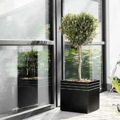 Line-Up Cube Planter - Matt Black 8 Line-Up Cube Planter - Matt Black -Garden Potted Plant Shop Line Up Cube Planter Matt Black Lifestyle 2