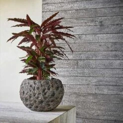 Garden Potted Plant Shop -Garden Potted Plant Shop Luxe Lite Universe Moon Globe Bronze 2