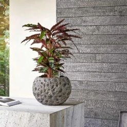 Luxe Lite Moon Globe Planter - Bronze 15 Luxe Lite Moon Globe Planter - Bronze -Garden Potted Plant Shop Luxe Lite Universe Moon Globe Bronze