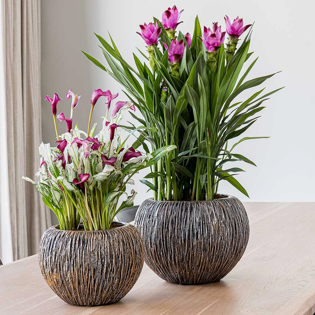 Luxe Lite Waterfall Globe Planter - Bronze 6 Luxe Lite Waterfall Globe Planter - Bronze - Image 6