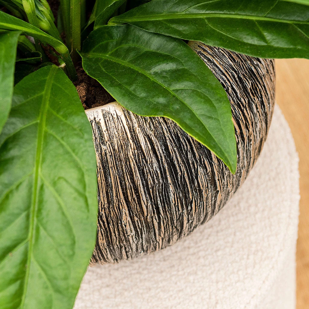 Luxe Lite Waterfall Globe Planter - Bronze 2 Luxe Lite Waterfall Globe Planter - Bronze - Image 2