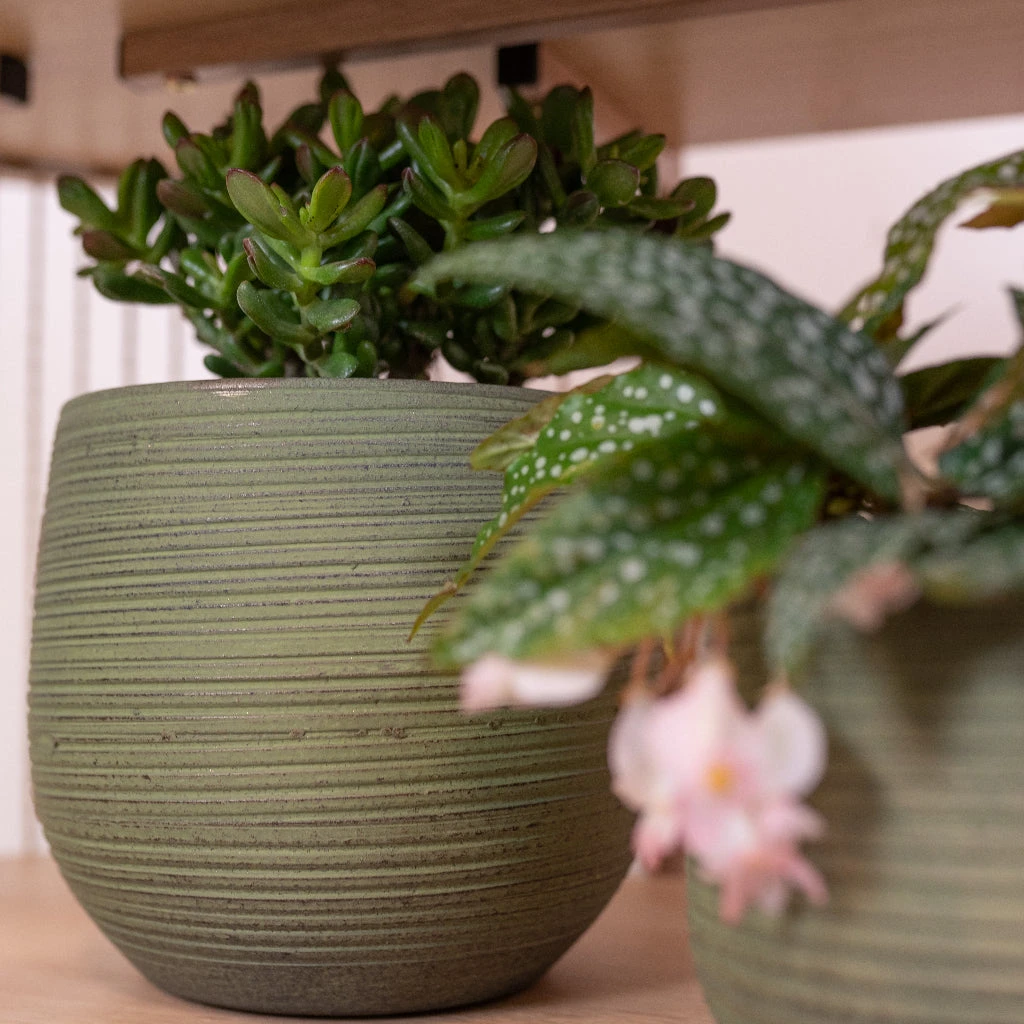 Lydia Plant Pot - Shiny Green 14 Lydia Plant Pot - Shiny Green - Image 14