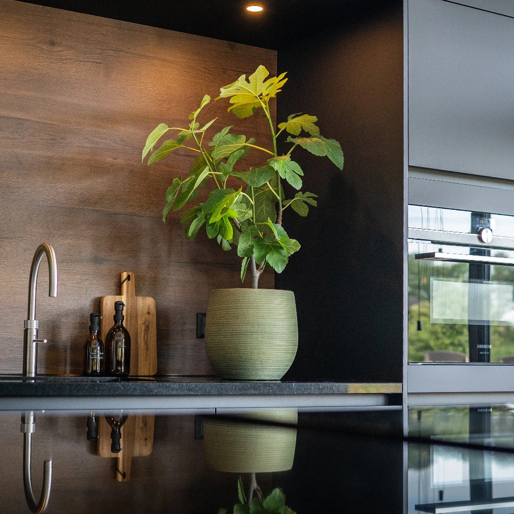 Lydia Plant Pot - Shiny Green 19 Lydia Plant Pot - Shiny Green - Image 19