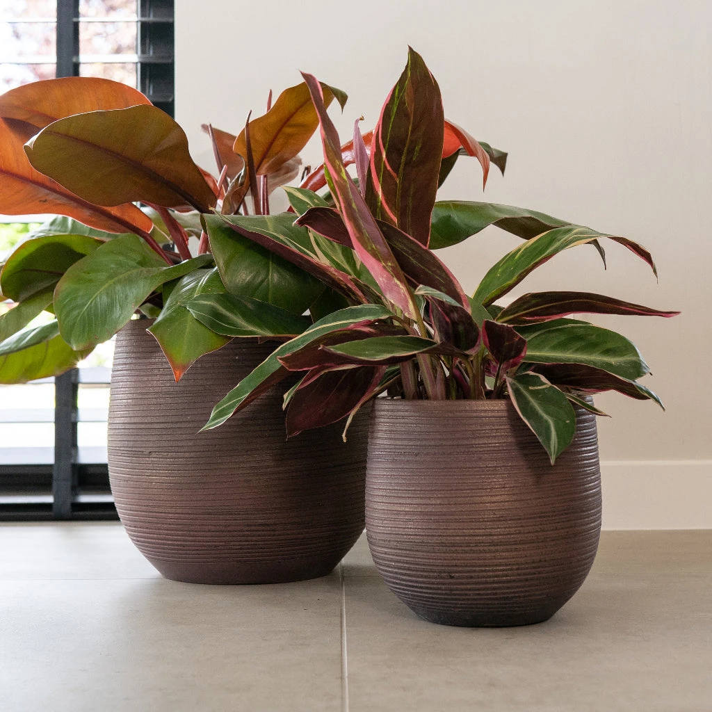 Lydia Plant Pot - Shiny Purple 4 Lydia Plant Pot - Shiny Purple - Image 4