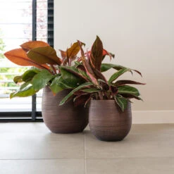 Lydia Plant Pot - Shiny Purple 35 Lydia Plant Pot - Shiny Purple -Garden Potted Plant Shop LydiaPlantPotShiny Purple 4