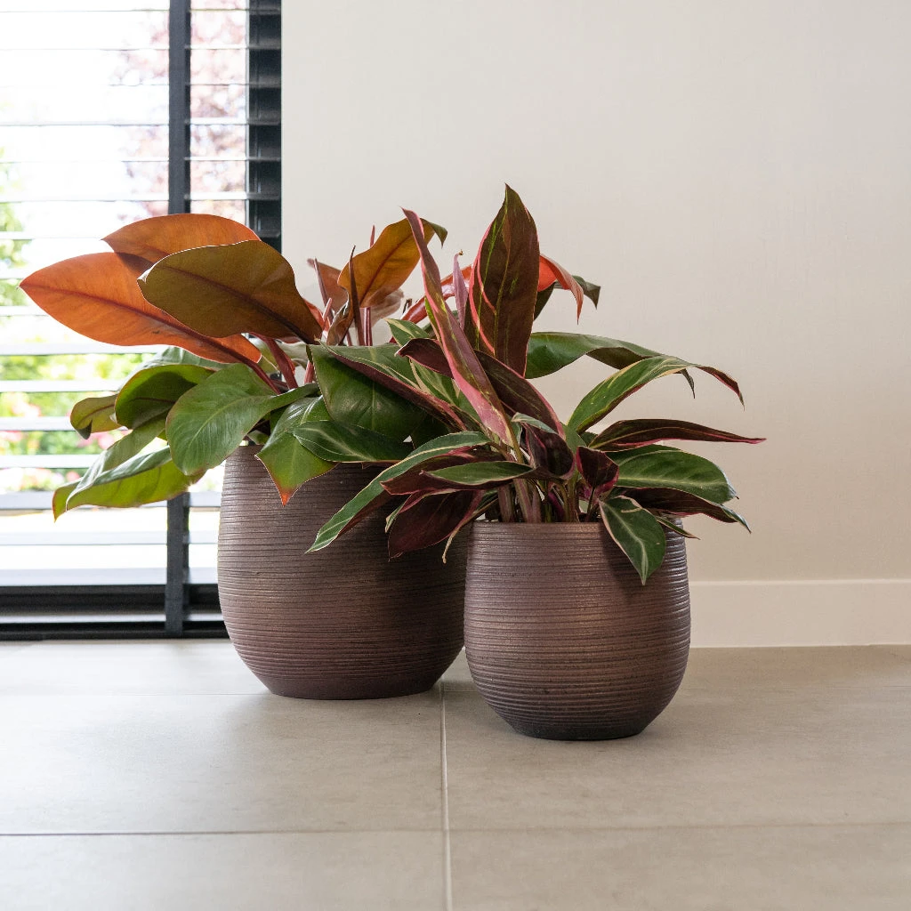 Lydia Plant Pot - Shiny Purple 16 Lydia Plant Pot - Shiny Purple - Image 16