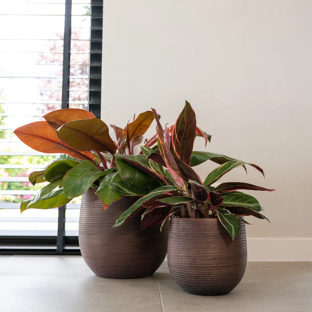 Lydia Plant Pot - Shiny Purple 20 Lydia Plant Pot - Shiny Purple - Image 20