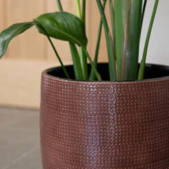 Lykke Plant Pot - Chestnut Blush -Garden Potted Plant Shop Lykke Chestnut 2