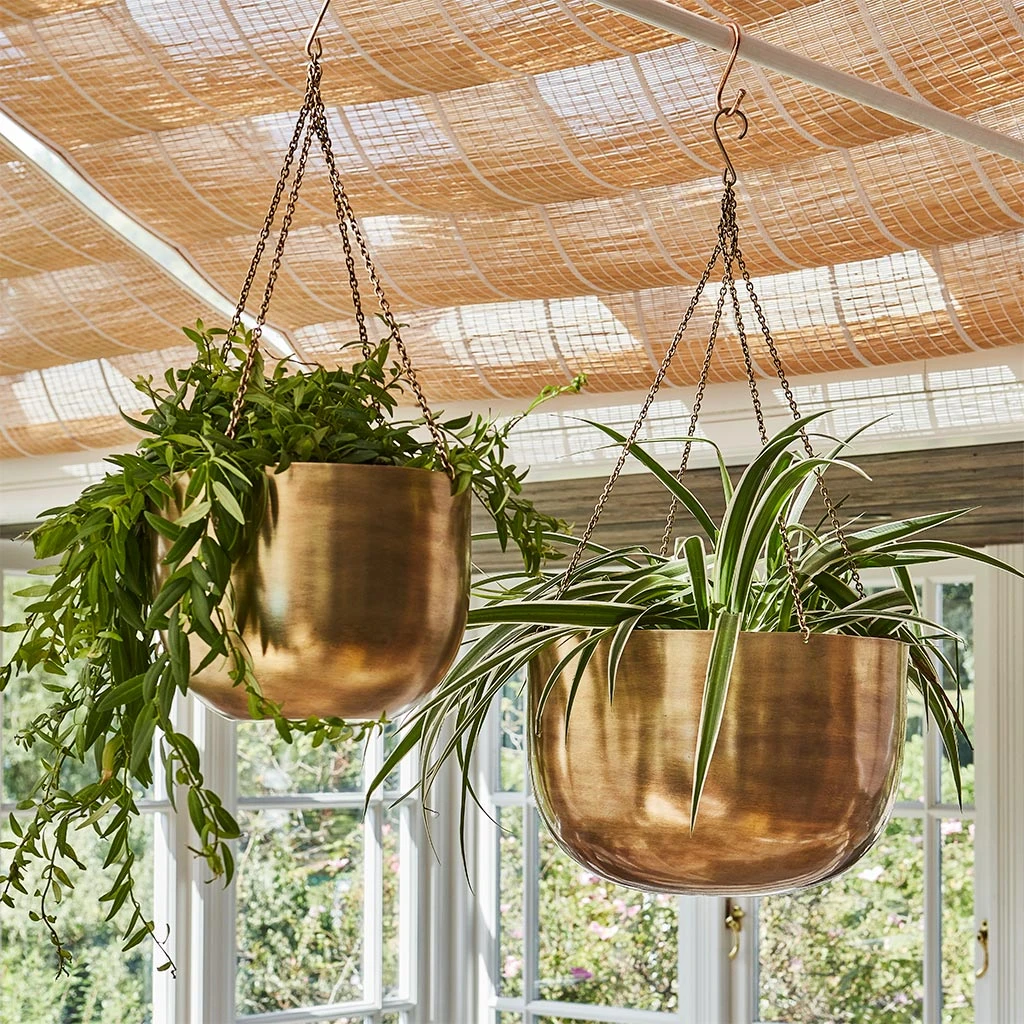 Mayfair Hanging Plant Pot - Antique Brass 2 Mayfair Hanging Plant Pot - Antique Brass - Image 2