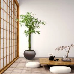 Metallic Globe Plant Pot - Matt Coffee 15 Metallic Globe Plant Pot - Matt Coffee -Garden Potted Plant Shop Metallic Couple Plant Pot Matt Coffee LS1