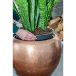 Metallic Couple Plant Pot - Matt Copper 12 Metallic Couple Plant Pot - Matt Copper -Garden Potted Plant Shop Metallic Couple Plant Pot Matt Copper Sansevieria Lifestyle Close